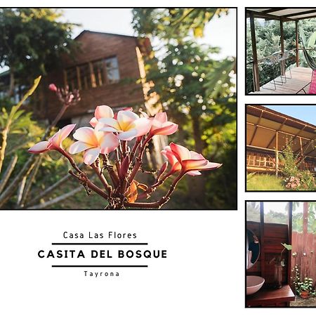 Villa La Casita del Bosque Santa Marta  Esterno foto