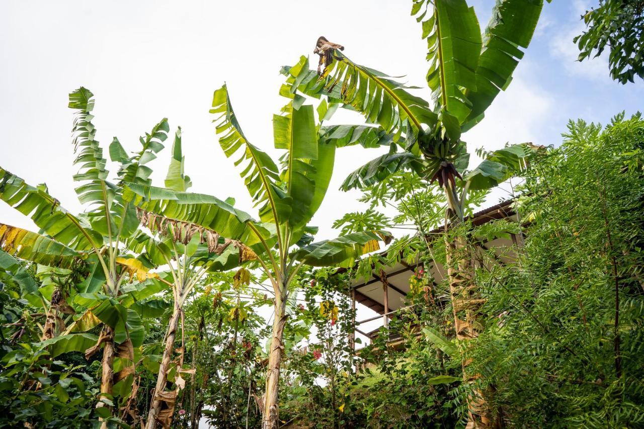 Villa La Casita del Bosque Santa Marta  Esterno foto