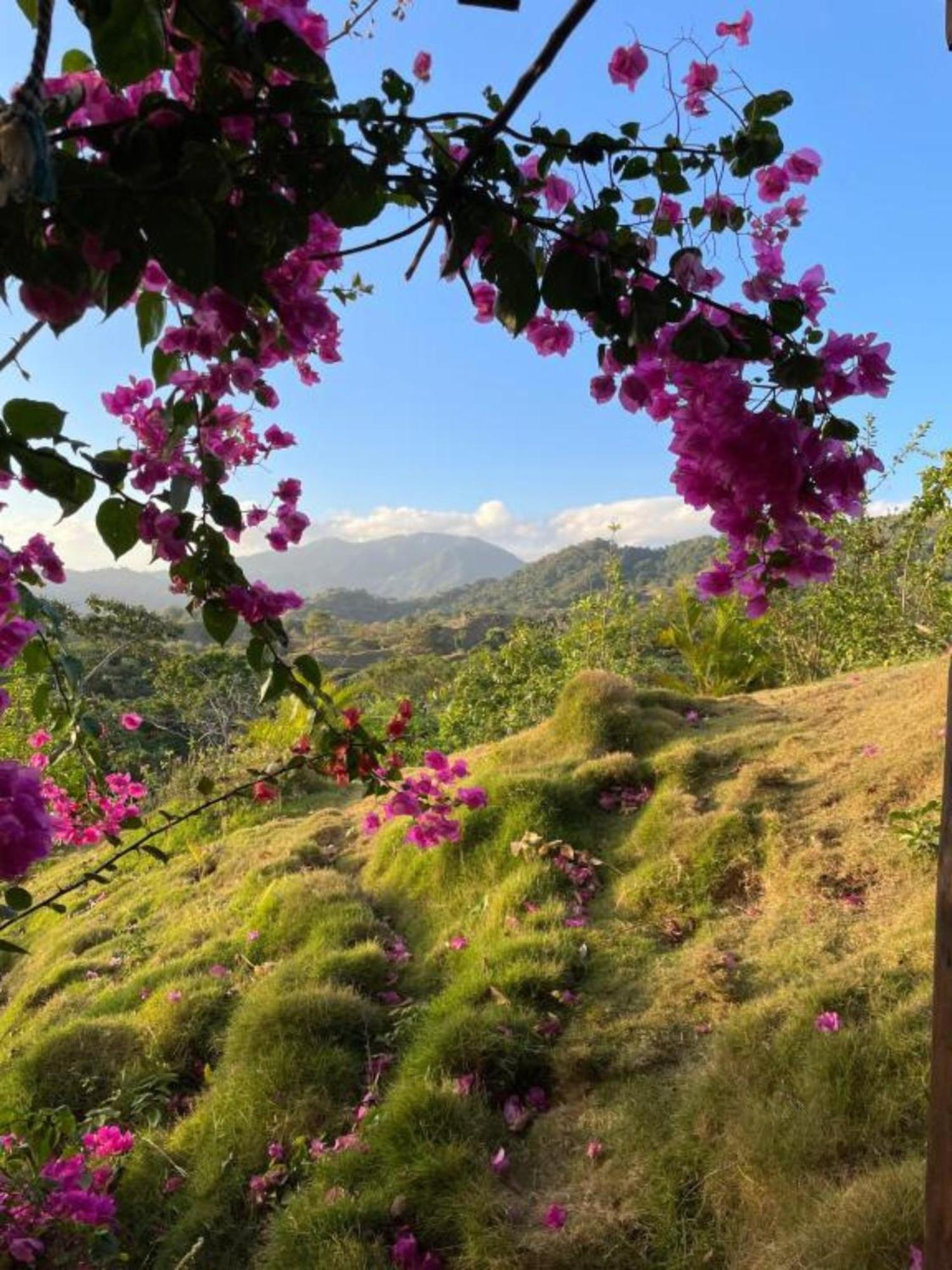 Villa La Casita del Bosque Santa Marta  Esterno foto