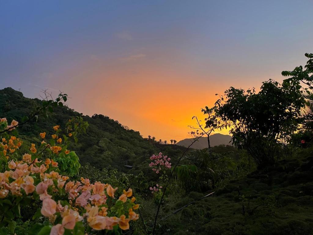 Villa La Casita del Bosque Santa Marta  Esterno foto
