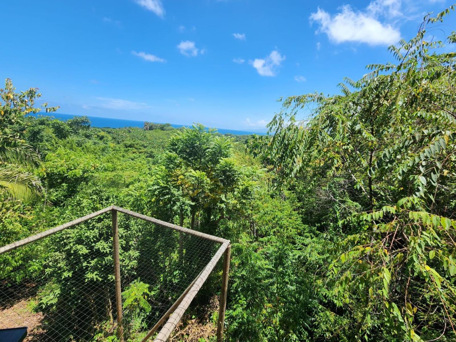 Villa La Casita del Bosque Santa Marta  Esterno foto
