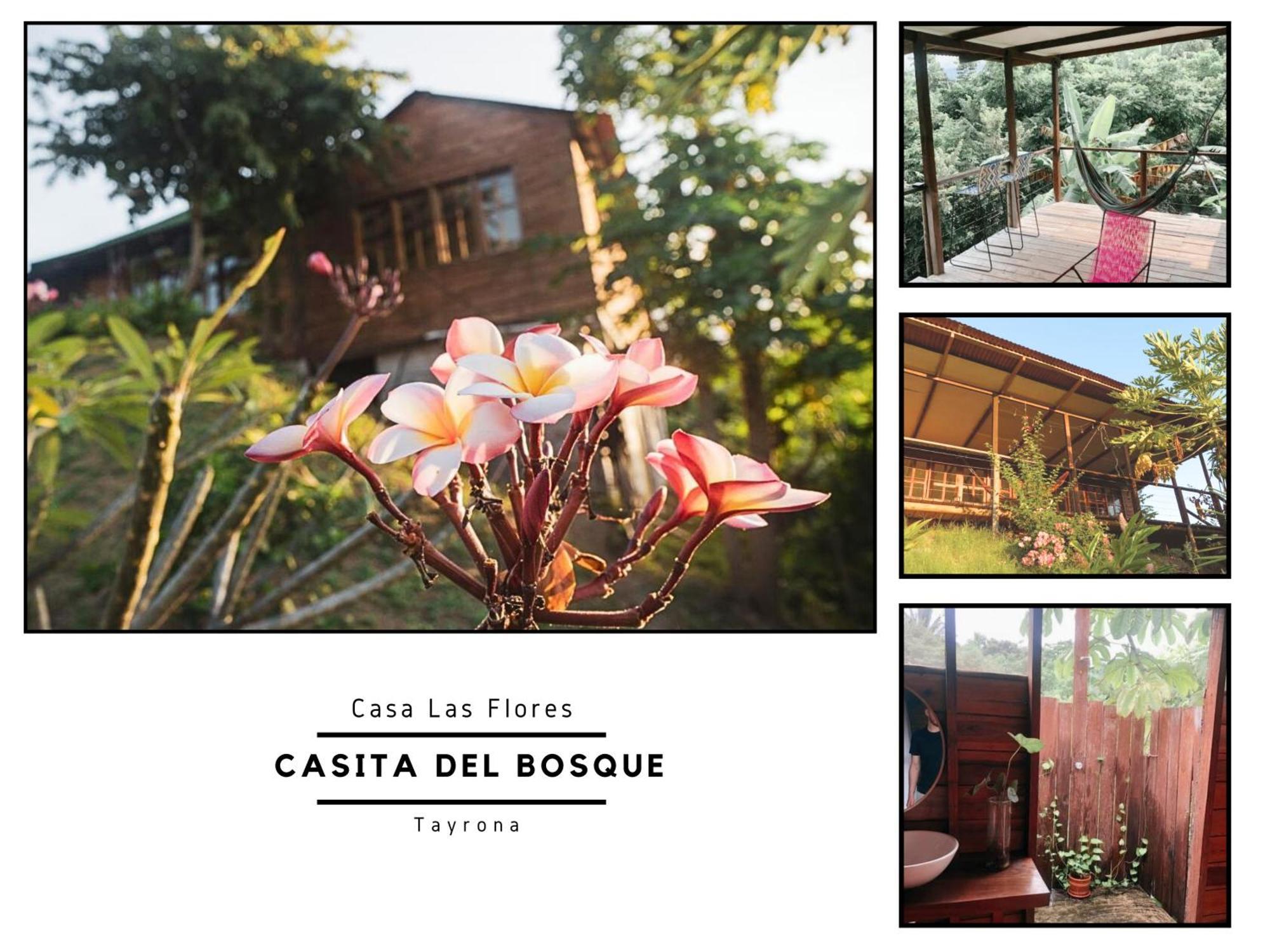 Villa La Casita del Bosque Santa Marta  Esterno foto