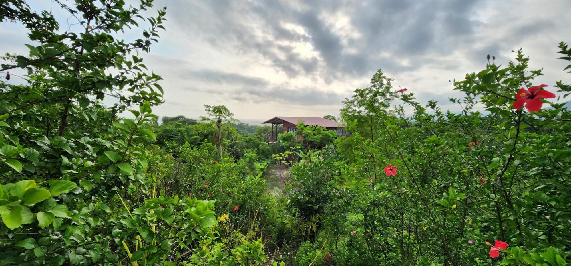 Villa La Casita del Bosque Santa Marta  Esterno foto