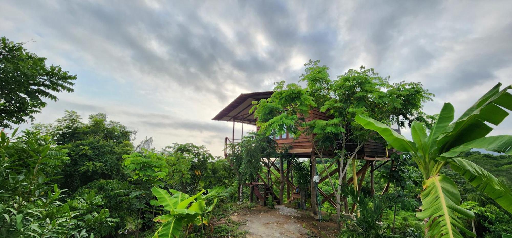 Villa La Casita del Bosque Santa Marta  Esterno foto